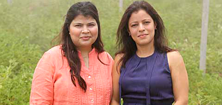 Azafran Innovacion Ltd Founders