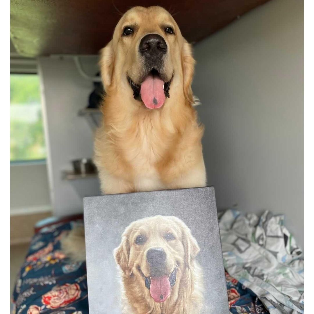 At Pawstro