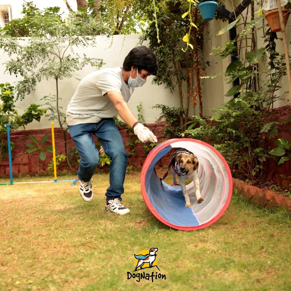 Pet Recreation Centre That Pampers Your Pet The Right Way