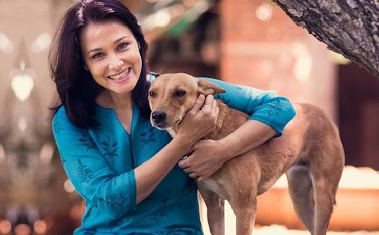 Caring-For-Pets-During-Diwali