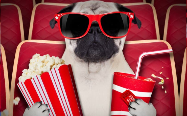 Popular Pet Movies to watch - Hashtag Magazine
