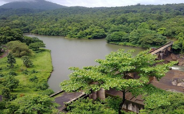 Immerse In Nature Eco-Tourism Experiences In India - Hashtag Magazine