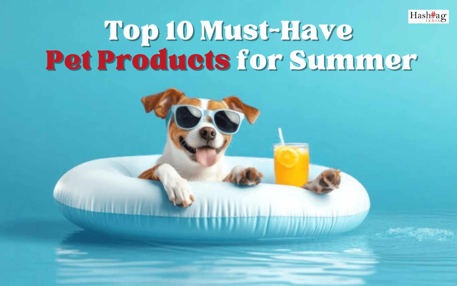 Pet Products for Summer
