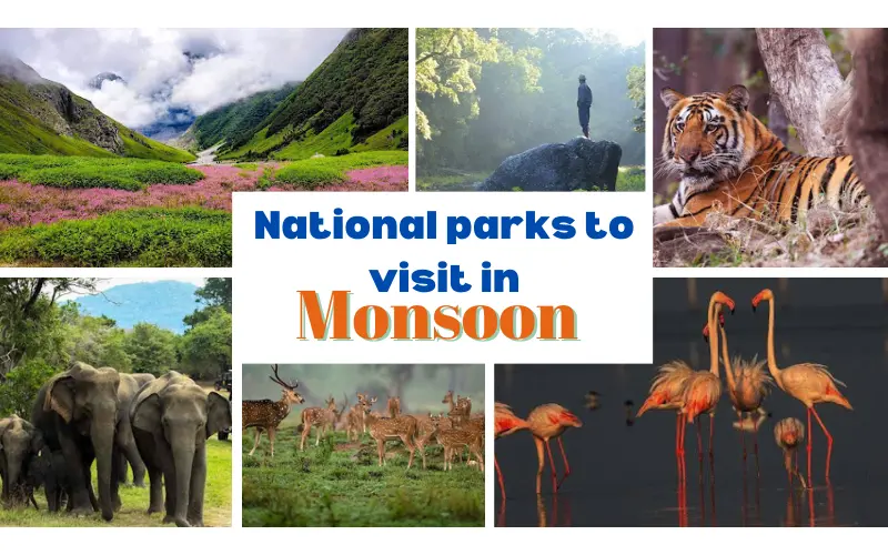 National Parks In India